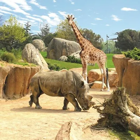 Apartment San Rocco *